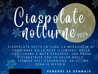 Ciaspolate notturne con cena al rifugio campolongo 2024