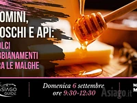 M03 uomini boschi e api 06 09 26