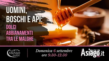 M03 uomini boschi e api 06 09 26