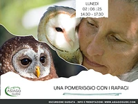 Una pomeriggio con i rapaci | Lunedì 2 giugno 2025 dalle 14.30