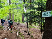 Escursione guidata a SelvArt Altopiano di Asiago Sette Comuni