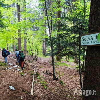 escursione guidata a selv art altopiano di asiago 