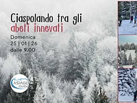 W36 Ciaspolando tra gli abeti innevati 25 01 26