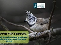 Chirping in the woods: naturalistic excursion for families with the Naturalistic Museum of Asiago-7 January 2023