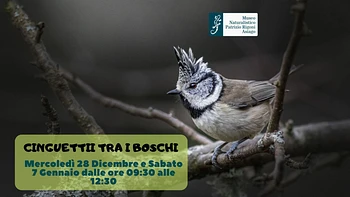 Cinguettii tra i boschi: escursione naturalistica per famiglie con il Museo Naturalistico di Asiago - 7 gennaio 2023