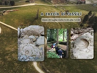 A caccia di Fossili - Dom 28 luglio 2024 dalle 9.30