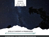 Escursione tra le Stelle cadenti di primavera | Venerdì 25 aprile 2025 dalle 20.00