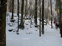 Ciaspole in trincea a Cesuna - Cesuna, Domenica 16 febbraio (9:00-12:30)