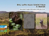 "Dal lupo allo scoiattolo" escursione guidata - Roana, 3 luglio 2024