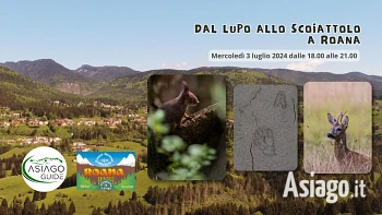 Dal lupo allo scoiattolo escursione guidata con Asiago Guide