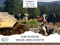 Alba In Malga - Speciale Made in Malga | Domenica 7 settembre 2025 dalle 6.30