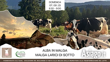 L03 Alba in malga Larici di Sottox