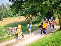 BABY TREKKING CON GLI ASINI a Treschè Conca - venerdì 15 agosto 2025