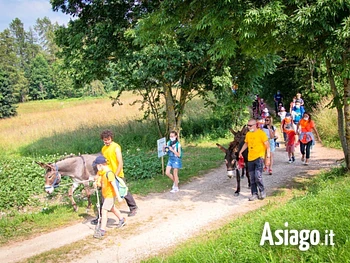 Baby Trekking con gli asini a Treschè Conca