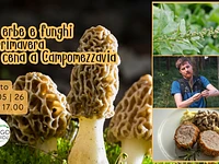 S16 Tra erbe e funghi di primavera con cena a Campomezzavia 16 05 26