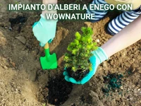 WOWnature: Pflanzung von Bäumen in Enego zur Wiederaufforstung - 20. Mai 2023