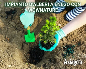 Impianto alberi a Enego scritta