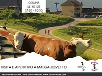 ESCURSIONE GUIDATA "Visita e aperitivo a Malga Zovetto" - Cesuna, venerdì 11 luglio 2025