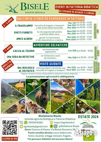Bisele locandine