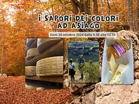 I sapori dei colori ad Asiago - Domenica 20 ottobre 2024 dalle 9.30 
