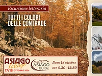 F02 TUTTI I COLORI DELLE CONTRADE (2)