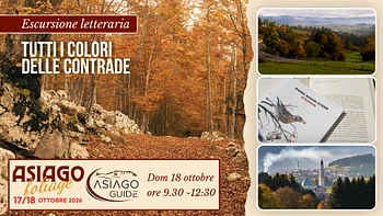 F02 TUTTI I COLORI DELLE CONTRADE (2)