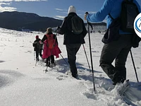 Verbindung der Erinnerungen: zwischen Geschichte und Natur - Samstag, 13. Januar 2024 ab 9.30 Uhr 