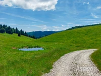 Prati, cielo e pozze d'alpeggio lungo il percorso