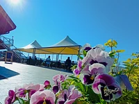 Die Stände mit Sonnenschirmen