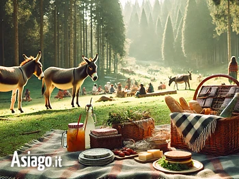 Escursione e picnic con gli asini sull'Altopiano di Asiago