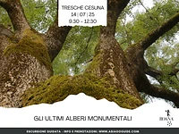 ESCURSIONE GUIDATA "Gli ultimi alberi monumentali" - Cesuna, lunedì 14 luglio 2025