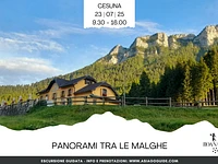 ESCURSIONE GUIDATA "Panorami tra le malghe" - Cesuna, mercoledì 23 luglio 2025