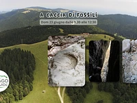 A caccia di Fossili - Domenica 23 giugno 2024 dalle 9.30