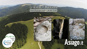 F01 fossili asiago guide