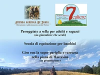  Esperienze a cavallo a MALGA 7 CALIERE 1° LOTTO VALMARON - Enego, estate 2023