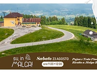 UP, TO THE MALGA! "Pujna and Testa Fina - Ricotta at Malga Zovetto" - Saturday, August 23, 2025