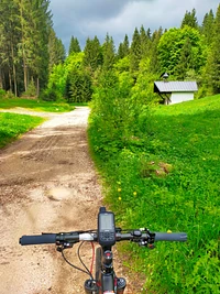 Escursione tra i boschi dell’Altopiano in MTB
