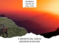 Emozioni all