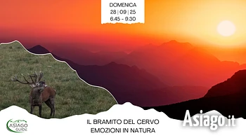 emozioni all alba all ascolto del bramito