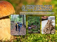 Lo stupefacente mondo dei funghi con pranzo - Mar 20 agosto 2024 dalle ore 9.30