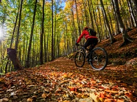 Guided E-bike tour "The colors of autumn" - Rifugio Valmaron, Enego, 6 October 2024