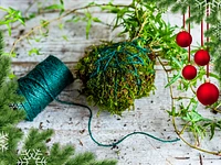 Workshop "KOKEDAMA: CHRISTMAS EDITION" in Treschè Conca - 22. Dezember 2023