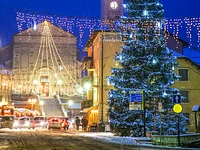 Accensione dell'albero di Natale di Gallio e castagnata - sabato 9 dicembre 2023