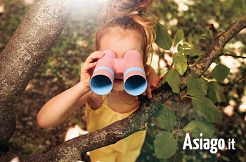 Piccoli esploratori laboratorio per bambini a Mezzaselva