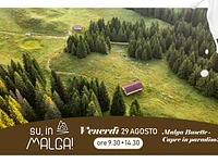 SU, IN MALGA! "Malga Busette: capre in paradiso!" - venerdì 29 agosto 2025