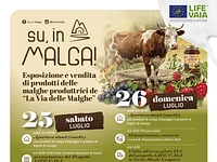 “SU, IN MALGA!” evento dedicato ai formaggi di montagna e alle tradizioni d'alpeggio - Gallio, sabato 25 e domenica 26 luglio 2026