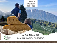 Alba In Malga | Domenica 24 agosto 2025 dalle 6.00
