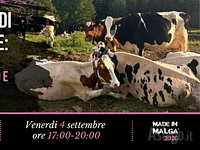 M01 amore di confine 04 09 26