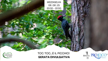 Serata divulgativa sui picchi