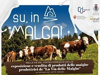 SU IN MALGA! - Gallio, sabato 27 e domenica 28 luglio 2024